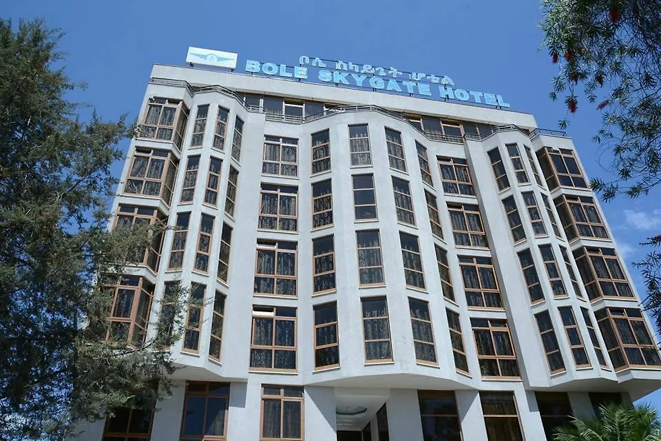 Bole Skygate Hotel Addis Ababa Ethiopia