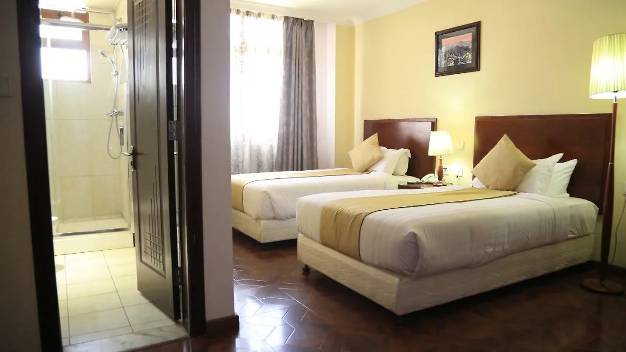 Bole Skygate Hotel Addis Ababa 4*,